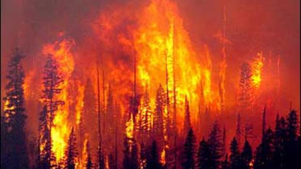 GlacierNP_Fire.jpg